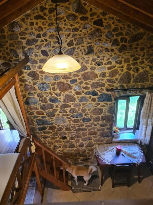 Annas Cozy Cottage Kalymnos Panormos  Exterior foto