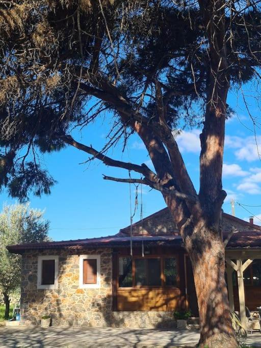 Annas Cozy Cottage Kalymnos Panormos  Exterior foto
